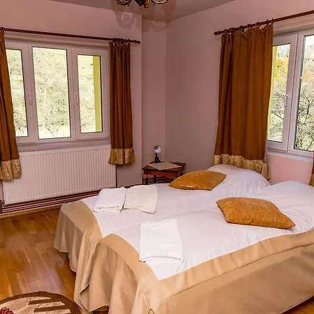 Noring Πανσιόν Lupeni (Hunedoara)